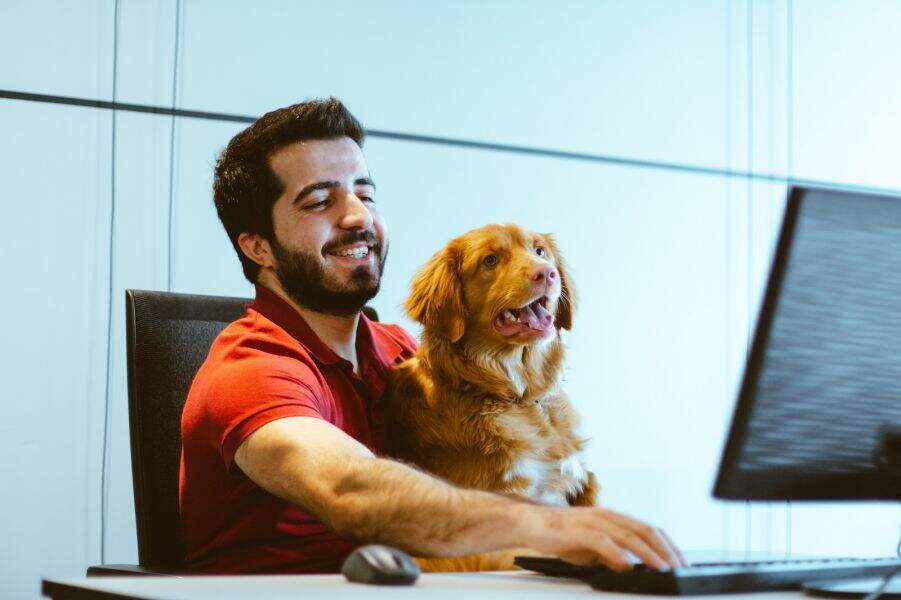 Saiba quanto custa abrir um Pet Shop?