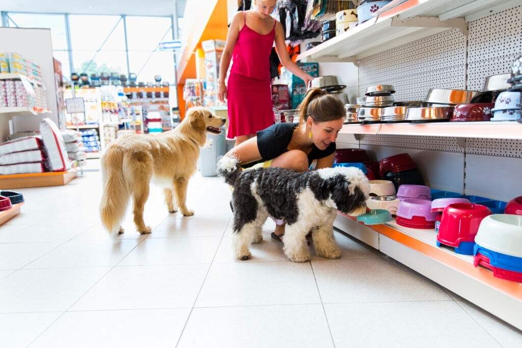 Conheça o mercado de Pet Shop no Brasil